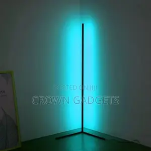 RGB Color Changing Floor Lamp