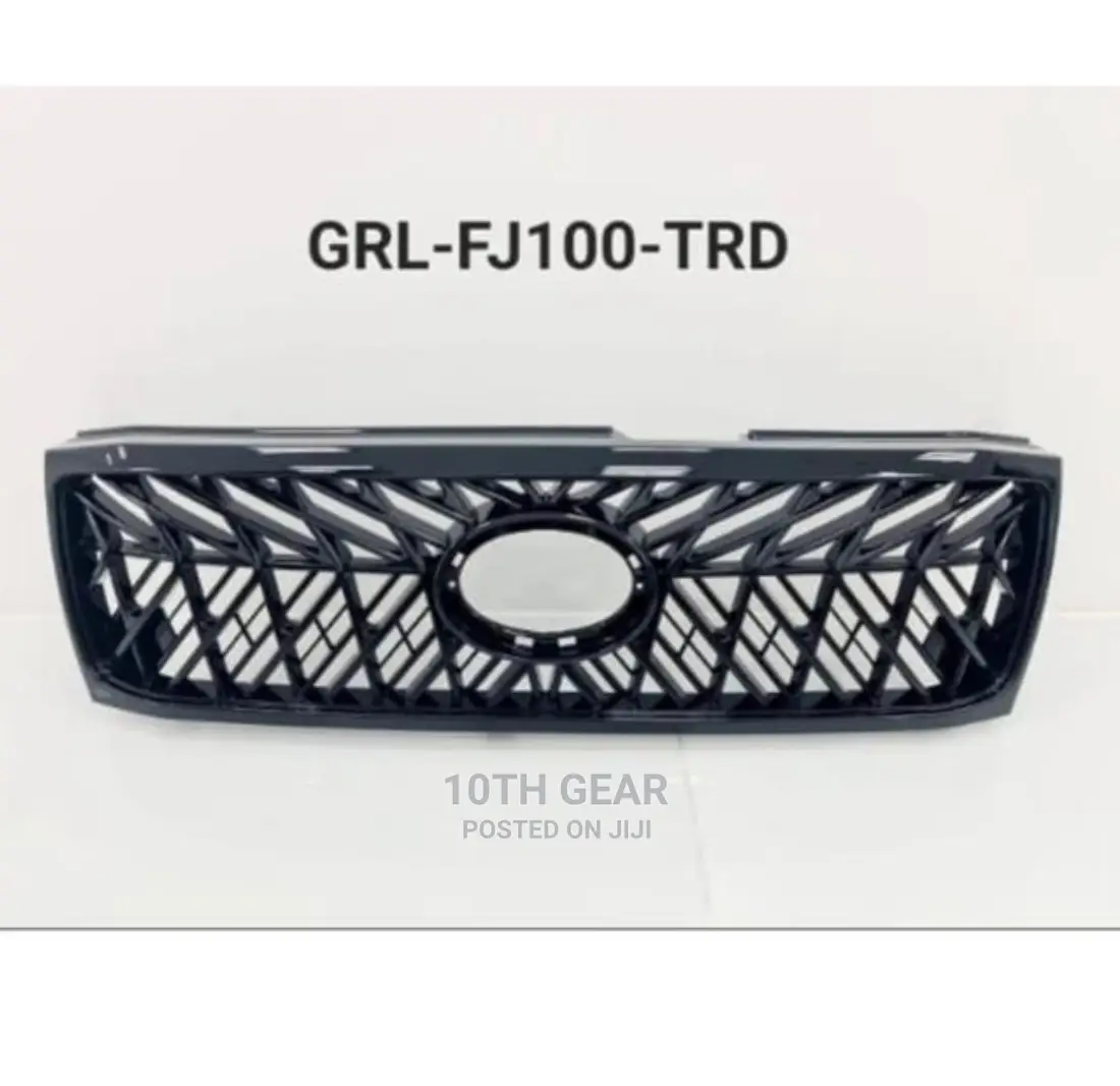 Land Cruiser 100 Series Web Grille