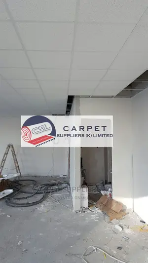 Acoustic Ceiling