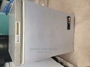 Mini Freezer 105l