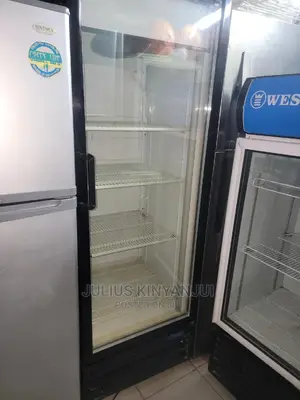 Display Fridge 400L