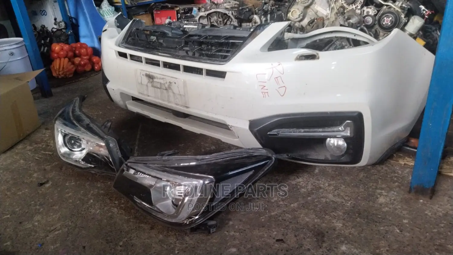 Forester New Model Nosecut