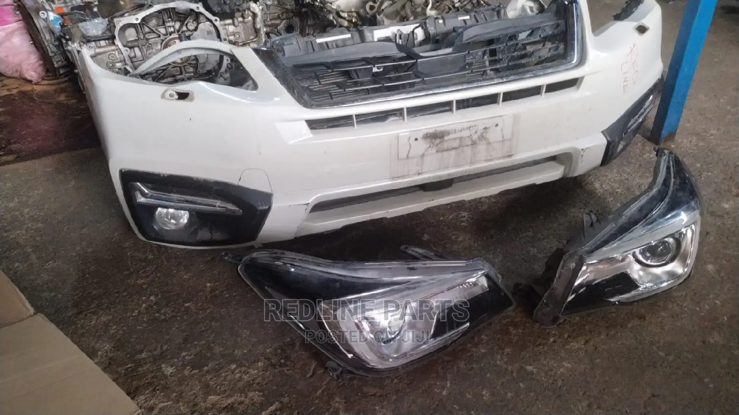Forester New Model Nosecut