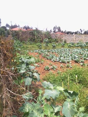 100 by 100 Plot Ihindu, Fryover Area - thumbnail 2