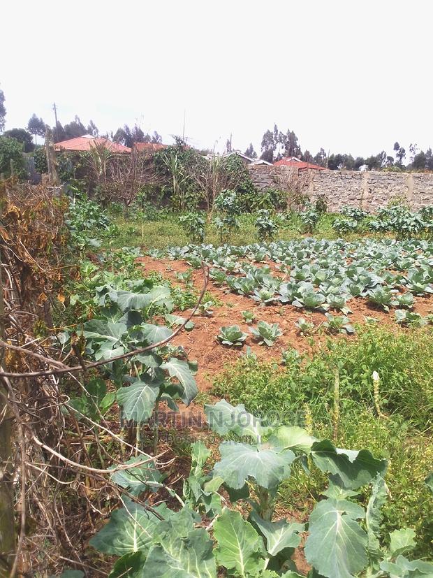 100 by 100 Plot Ihindu, Fryover Area - main view