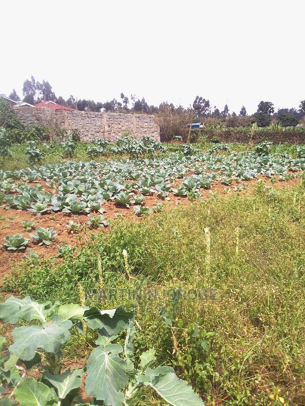 100 by 100 Plot Ihindu, Fryover Area - thumbnail 4