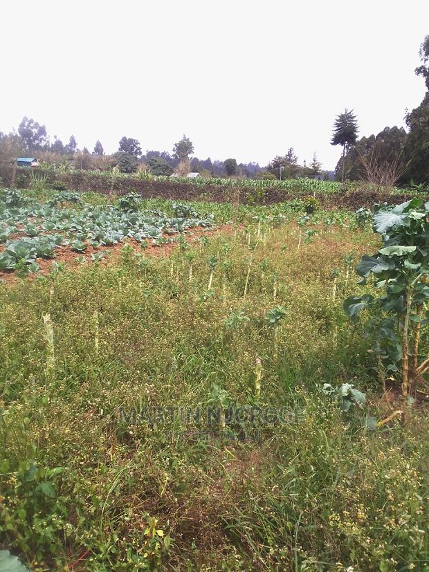 100 by 100 Plot Ihindu, Fryover Area - thumbnail 3