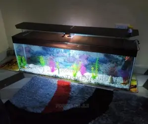 TV Stand Aquarium With Fish