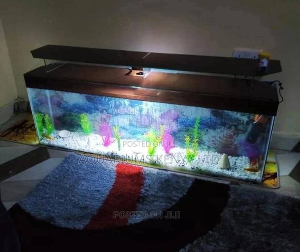 TV Stand Aquarium With Fish - main view