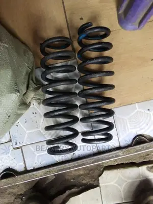 Probox/Succeed Heavy Duty Coil Springs