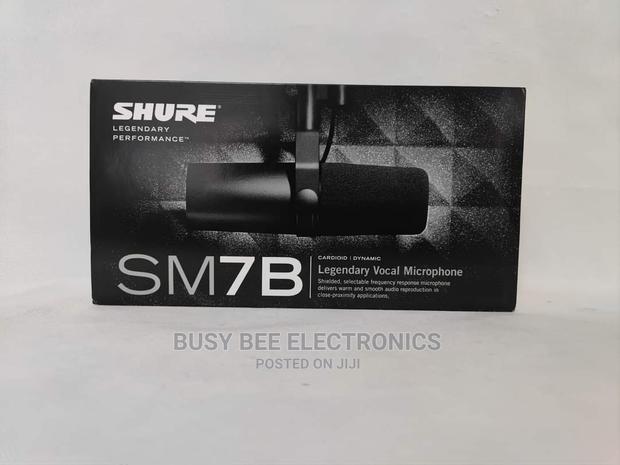 Shure Recording Microphone