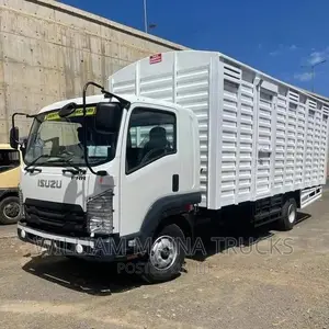 Isuzu FRR (Slyqueen)