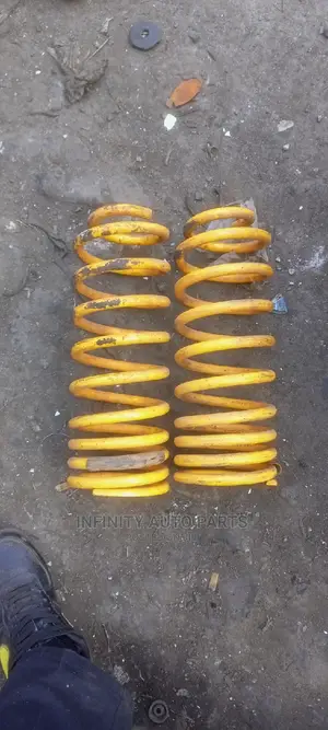 Toyota Prado 95 Springs