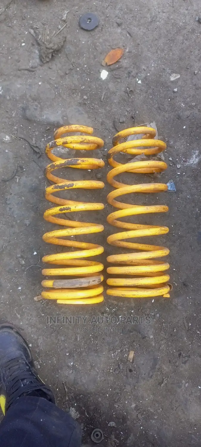 Toyota Prado 95 Springs