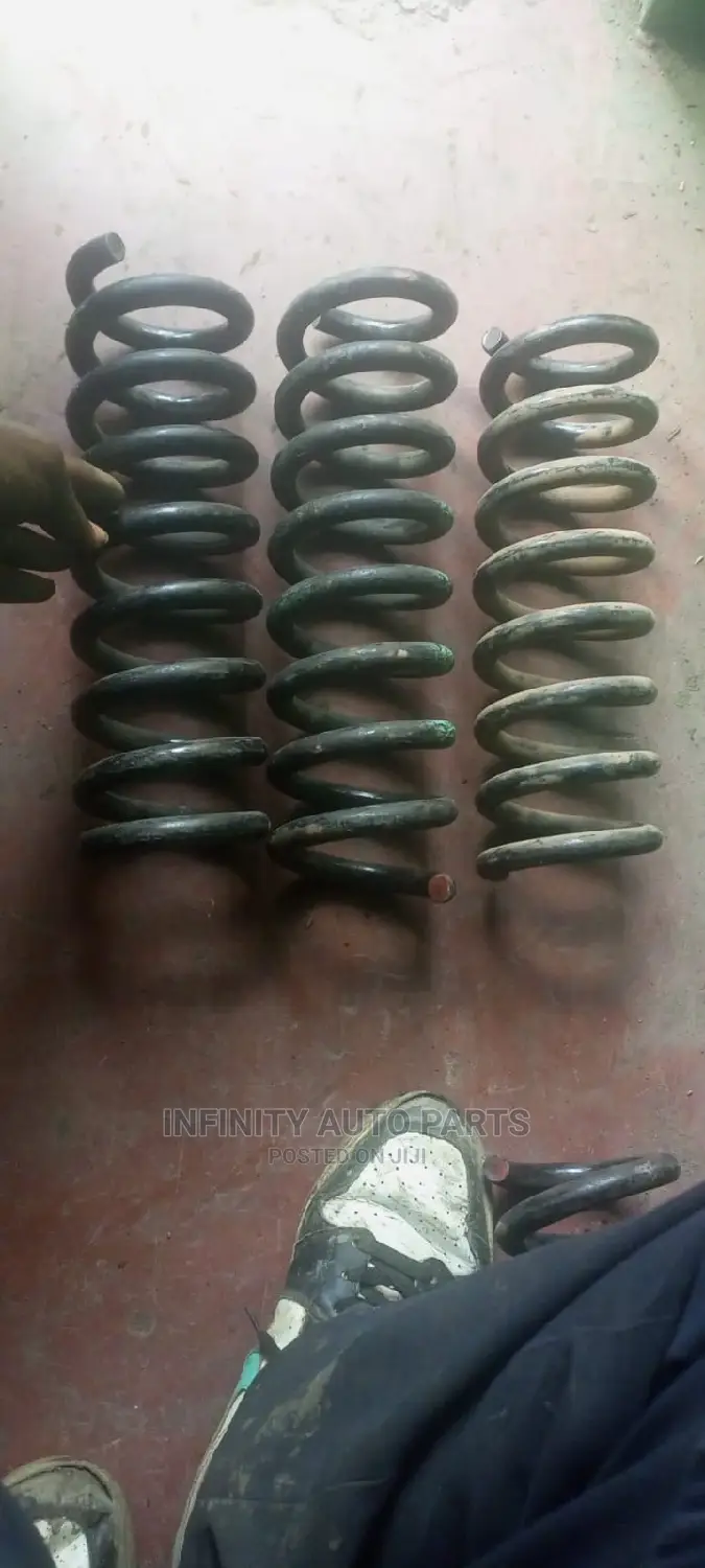BMW E60 Rear Springs
