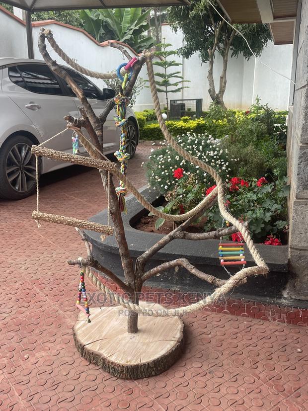 Tree Parrot Stand - main view