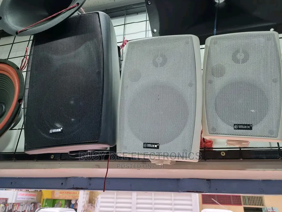 100vline Wall Mount Speaker