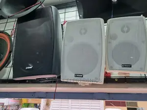 100vline Wall Mount Speaker