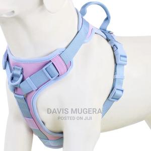 Blue Ice No-Pull Front Clip Dog Harness - thumbnail 2