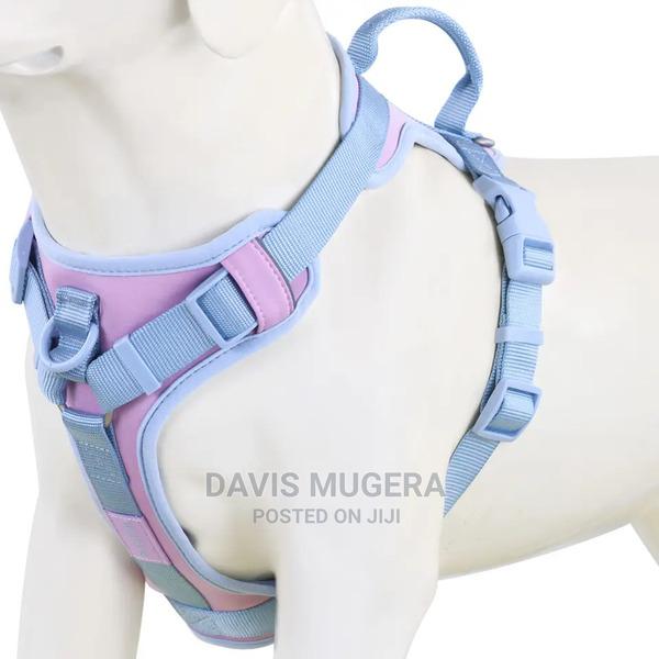 Blue Ice No-Pull Front Clip Dog Harness - main view