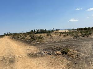 Tuala Rangua 6-Acres - main view