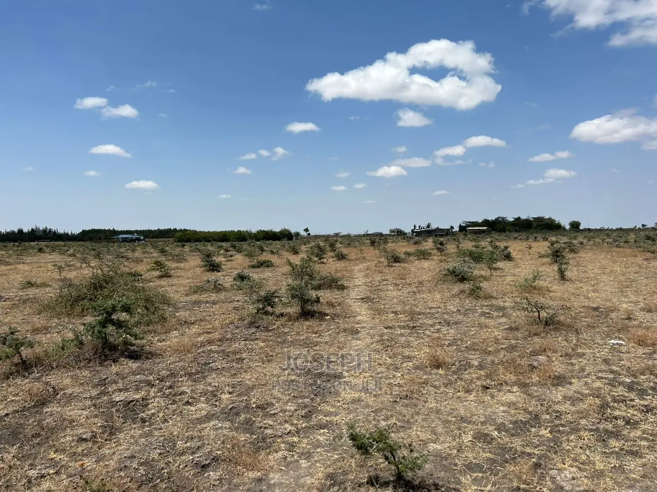 Tuala Rangua 6-Acres