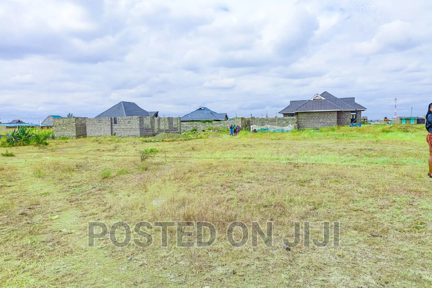 Murera Plots^JO