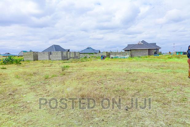 Murera Plots^JO - thumbnail 2