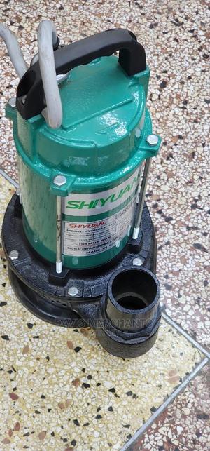 Solar Water Pump With 2" Outlet - thumbnail 2