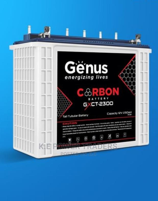 Genus Tall Tubular Battery 250AH