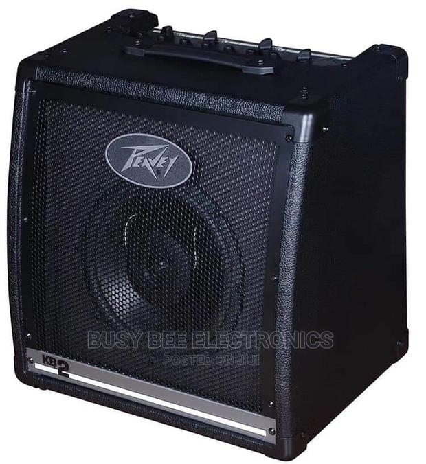 Kb2 Keyboard Amplifier - main view