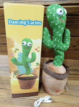 Dancing Cactus_dav - main view