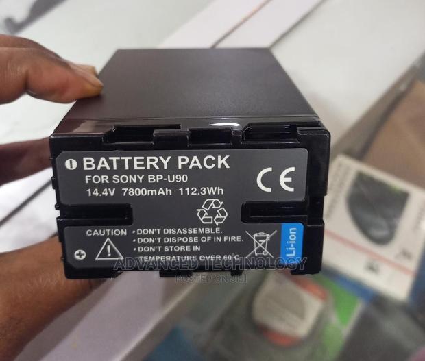 Sony BP-U90 Camcorder Battery