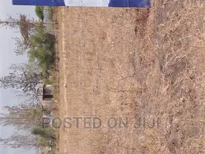 Prestige Gardens Phase 2 Kamulu With Ready Title at Mw^