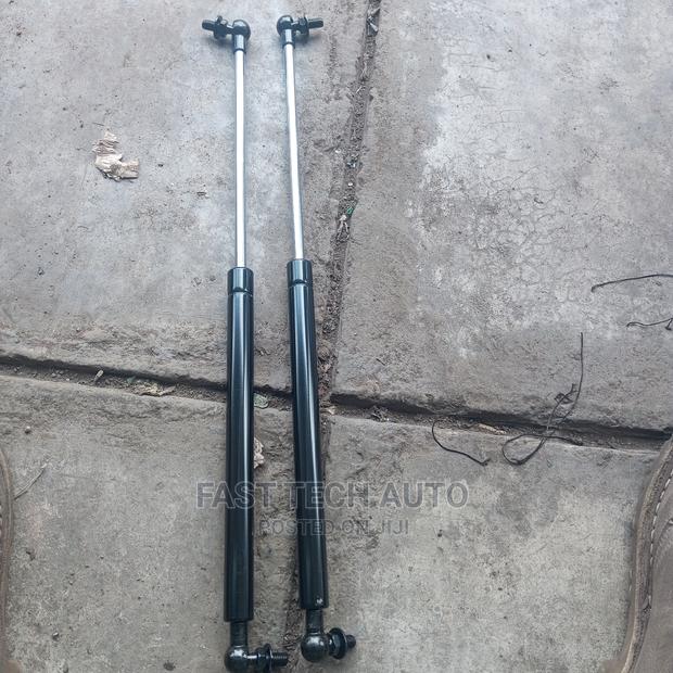 Prado 120 Bonnet Shocks - main view