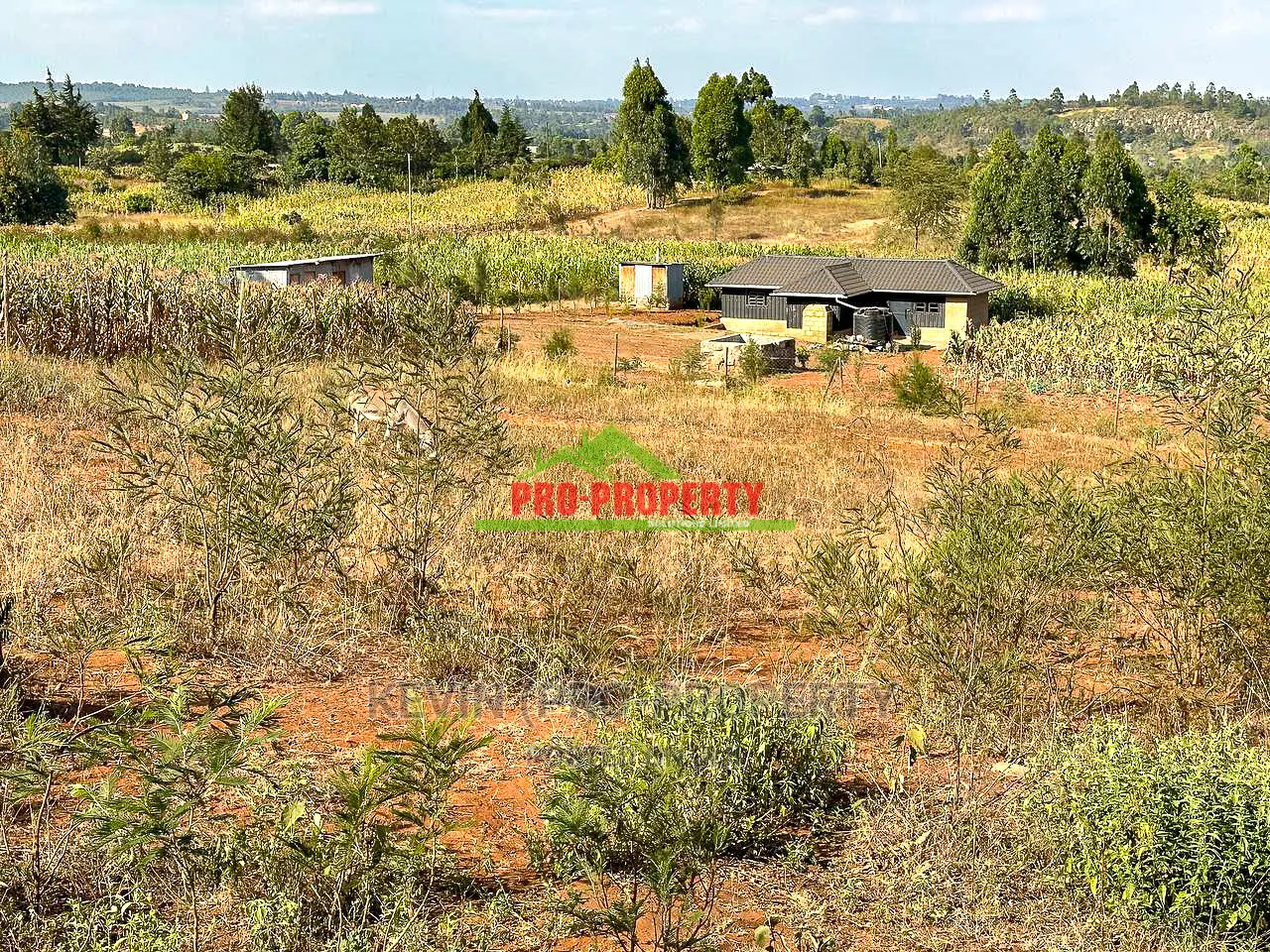 Residential Plots for Sale in Kikuyu ,Kamangu.