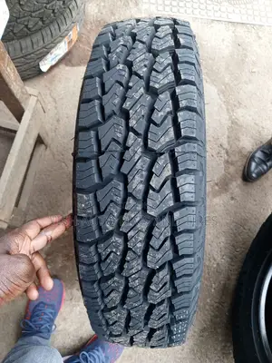 225/75r15 Sailun