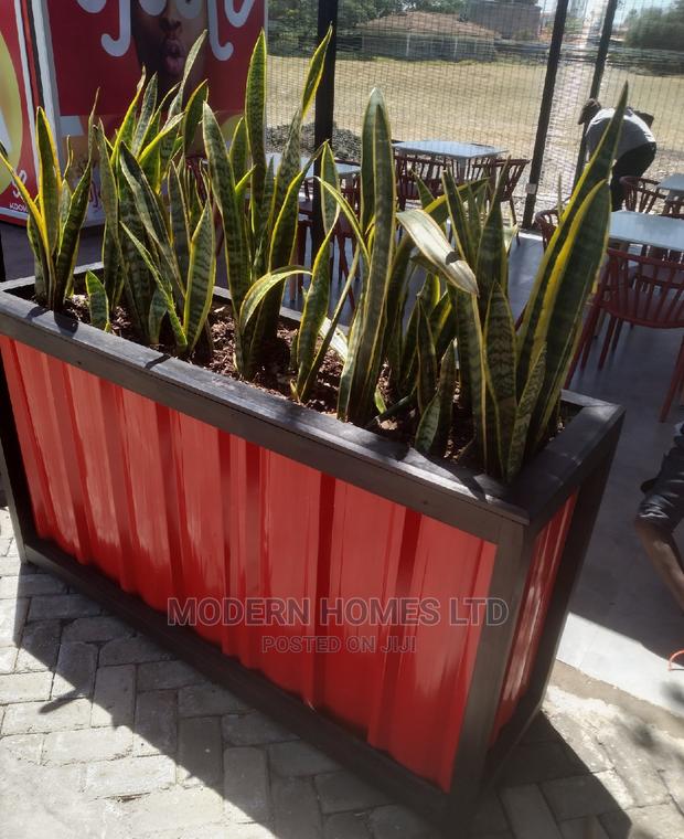 Exquisite Large Planters - thumbnail 3