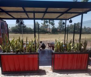 Exquisite Large Planters - thumbnail 2