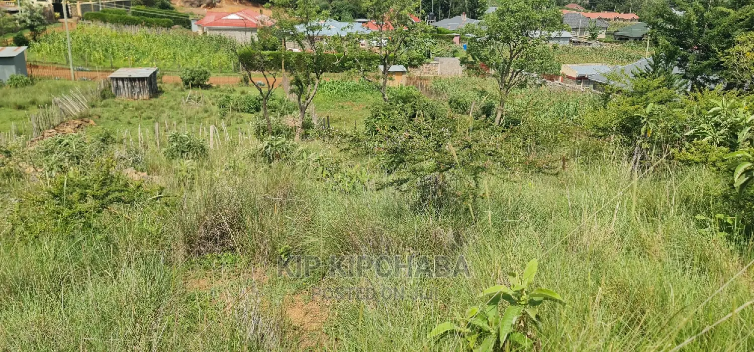 3 Plots Gor Sale In Mountsinview Kipkorgot In Eldoret