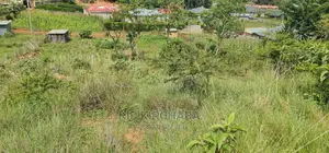 3 Plots Gor Sale In Mountsinview Kipkorgot In Eldoret