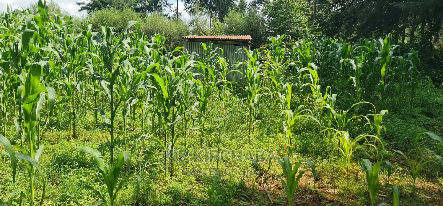 2 Plots For Sale In Kamagut Eldoret