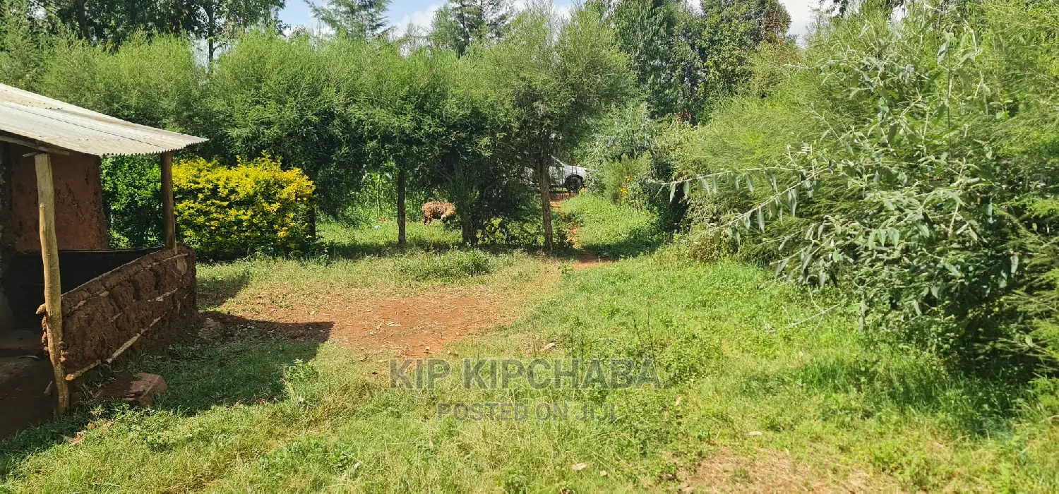 2 Plots For Sale In Kamagut Eldoret