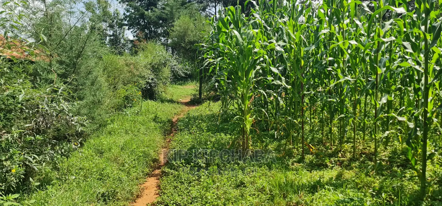2 Plots For Sale In Kamagut Eldoret