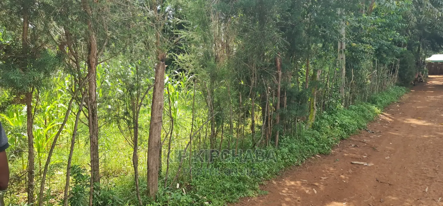 2 Plots For Sale In Kamagut Eldoret