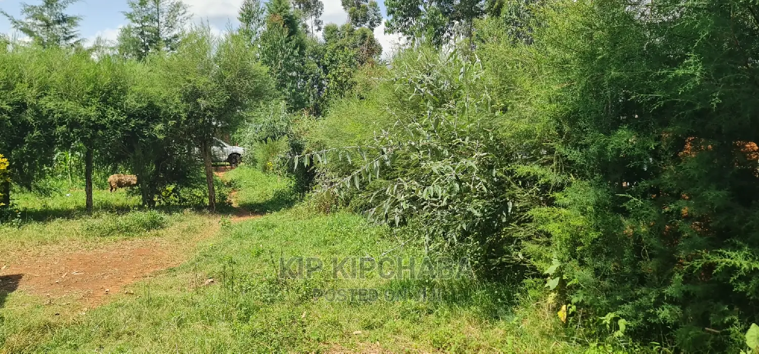 2 Plots For Sale In Kamagut Eldoret