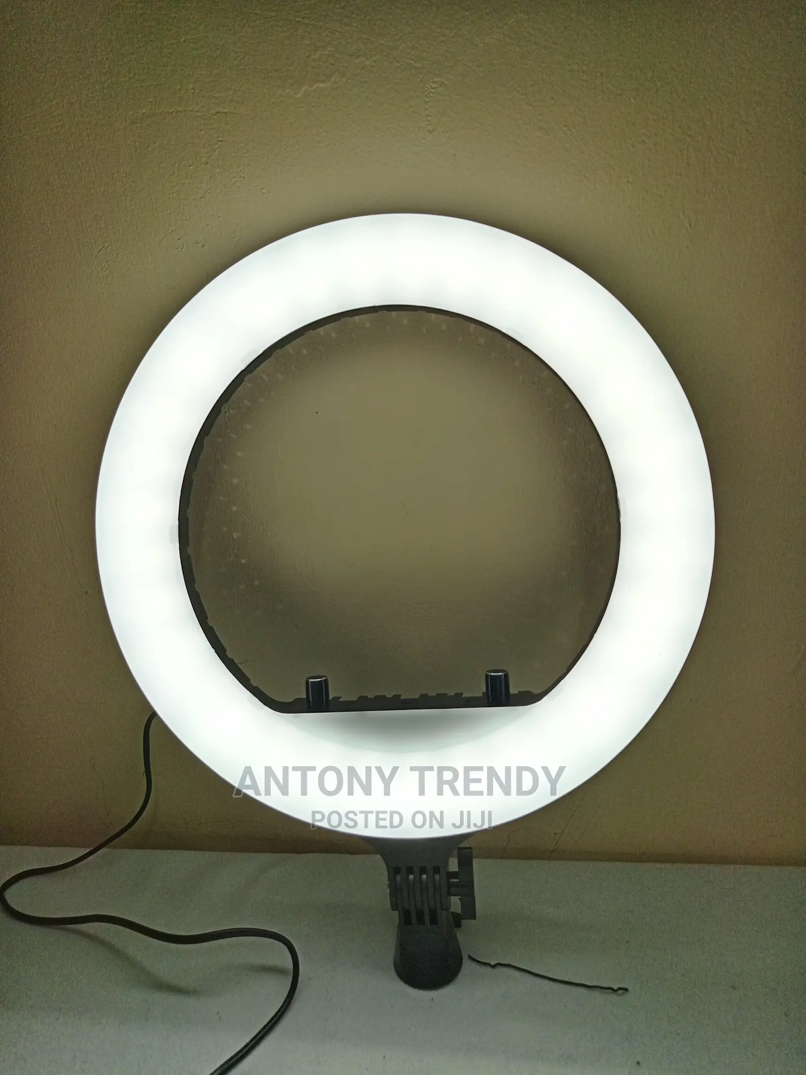 Ring Light With Stand and Phone Holder 14 Inch
