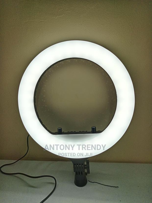 Ring Light With Stand and Phone Holder 14 Inch - main view