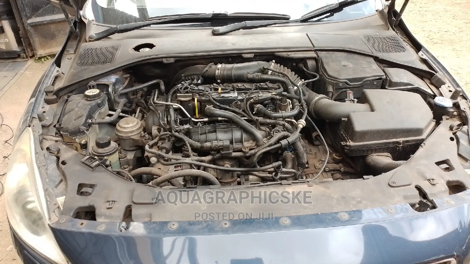 Engine Steam Wash/Detailing