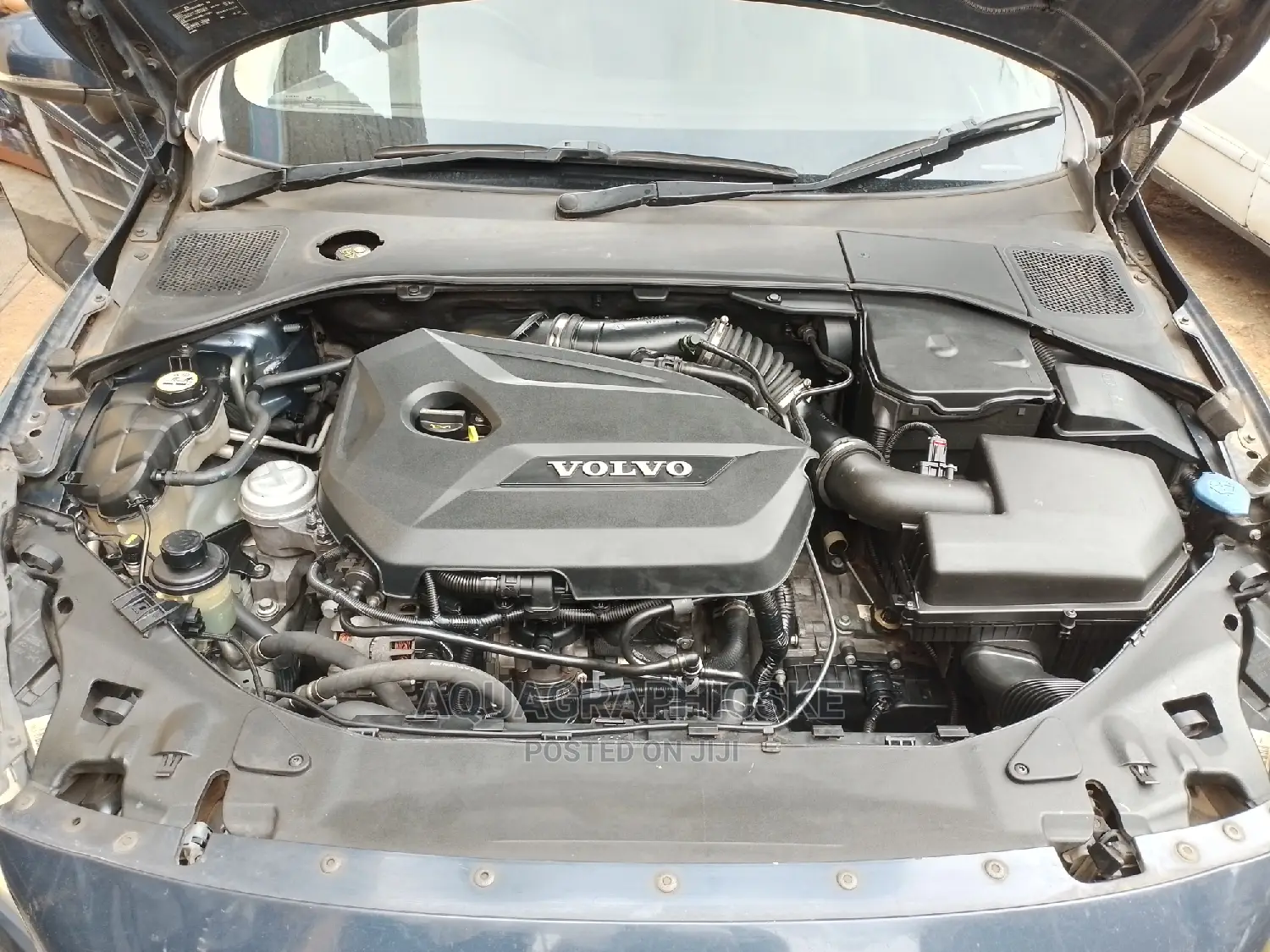 Engine Steam Wash/Detailing